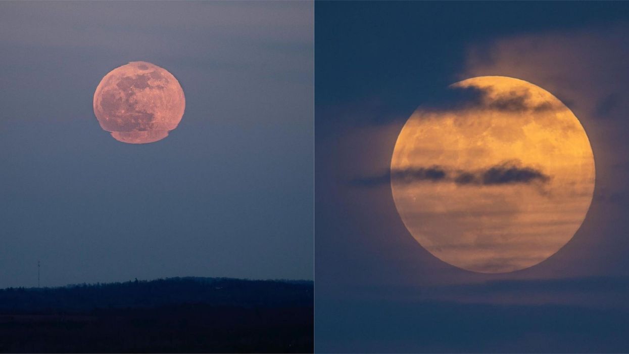 Super Pink Moon In Canada Was Stunning In The Night Sky