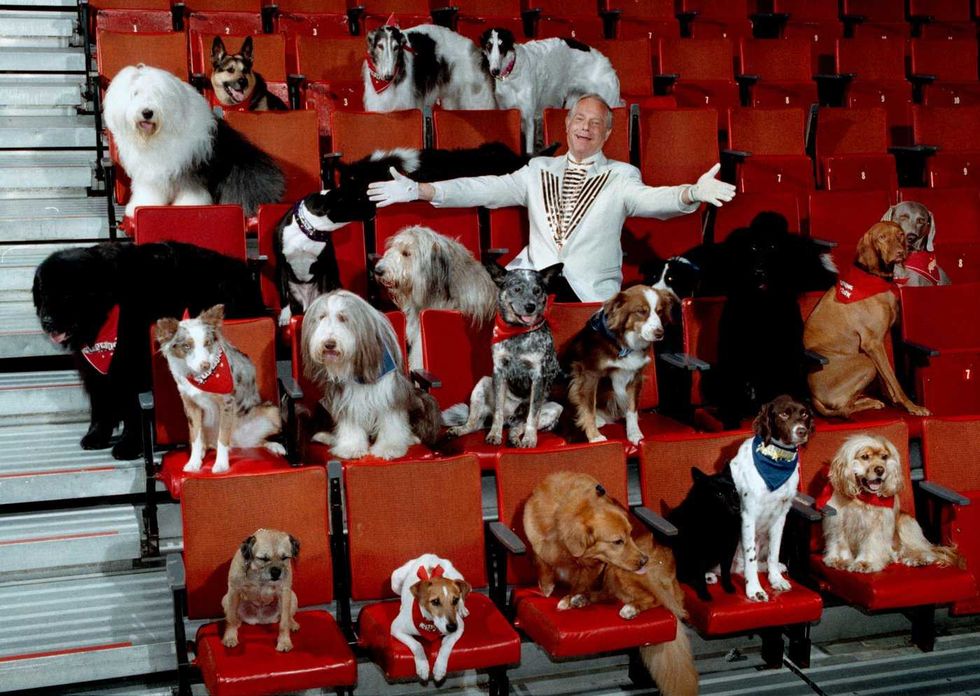 SuperDogs lap up the love after 50 years of joy