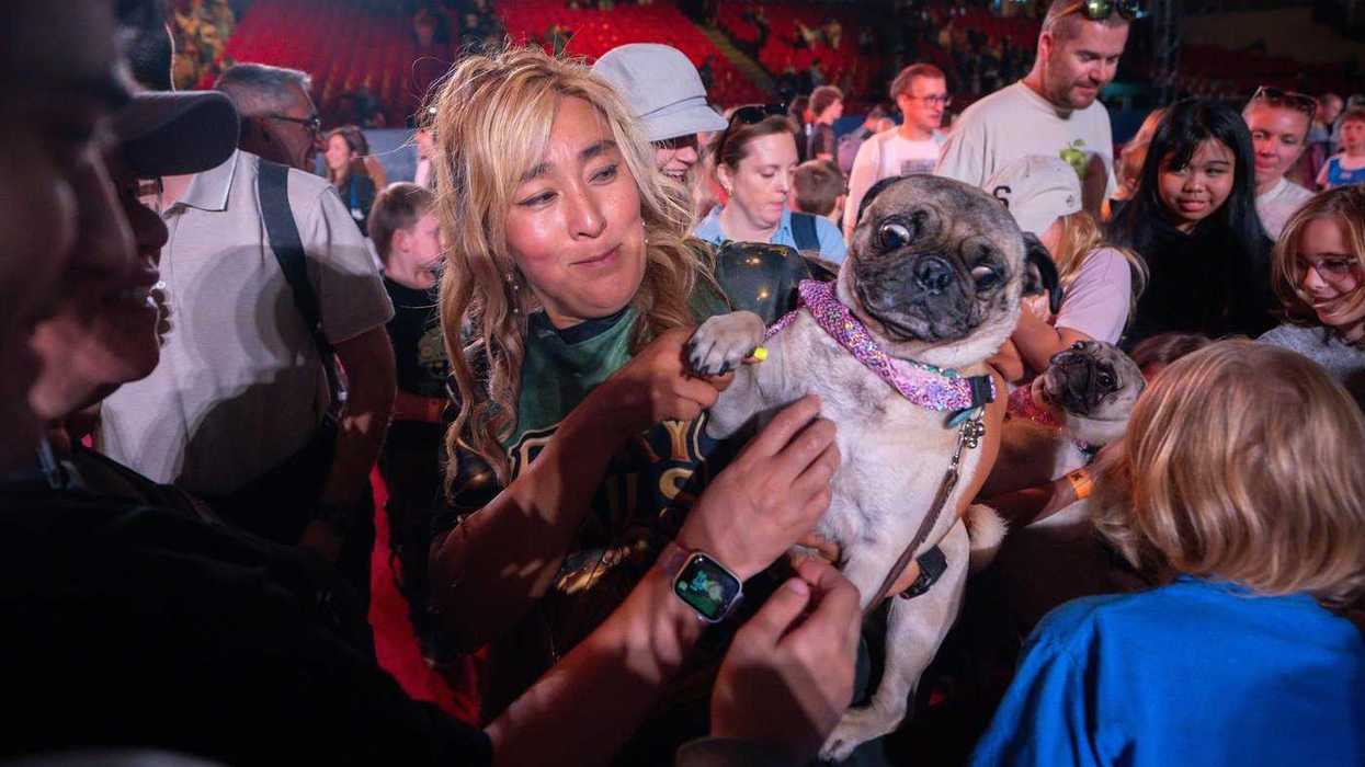 SuperDogs lap up the love after 50 years of joy