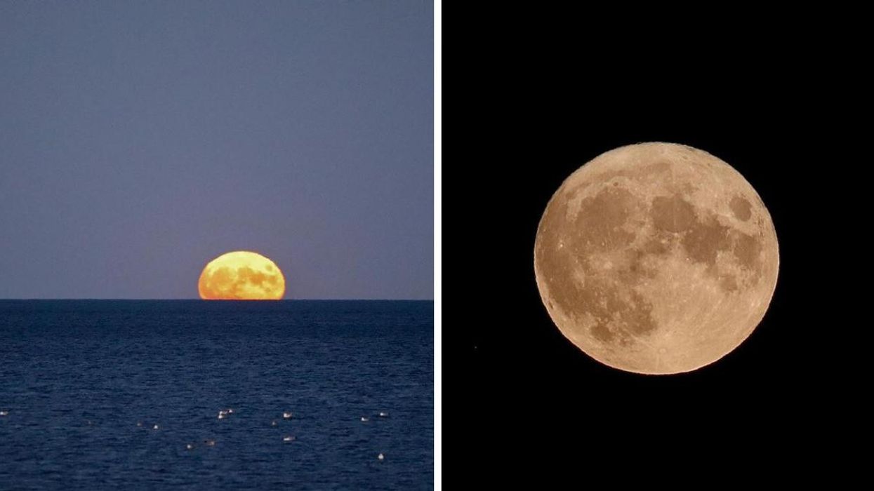 Supermoon rising above the water in Toronto on August 11, 2022. Right: Supermoon in the night sky in Toronto on August 11, 2022.