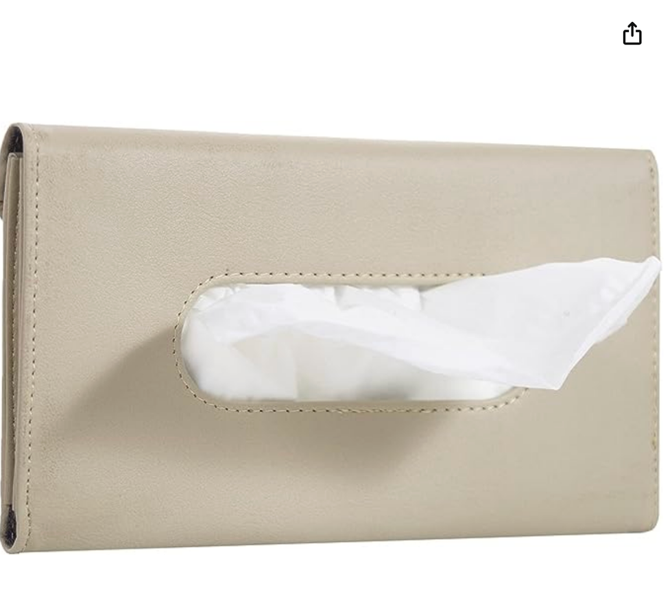 Support de mouchoirs pour pare-soleil.