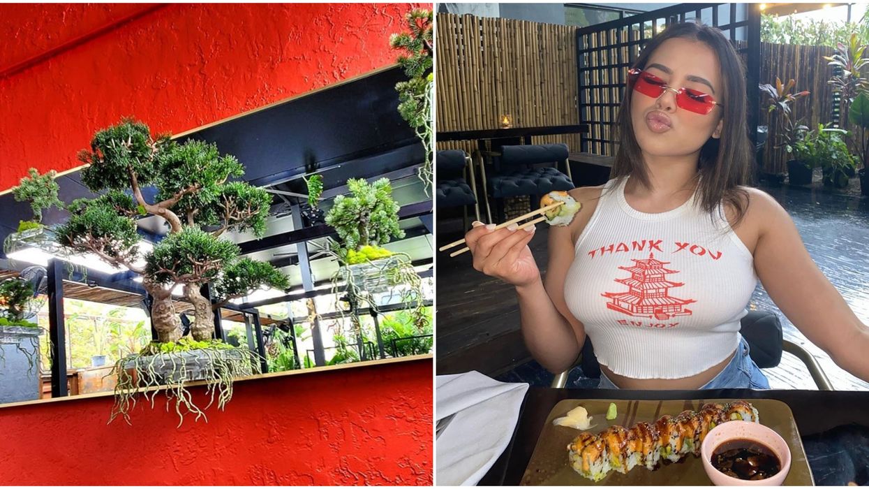 Sushi In Miami At Back Door Monkey Is Super Tasty