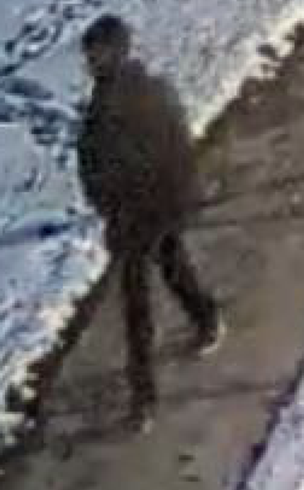 Suspect in sexual assault investigation.