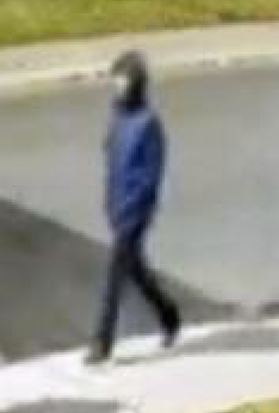 Suspect in sexual assault investigation.