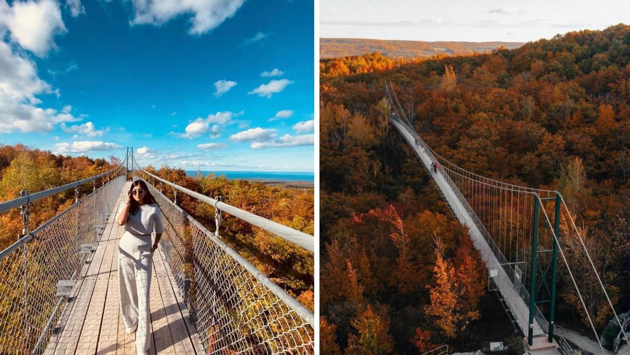 Suspension bridge running over a fall forest.