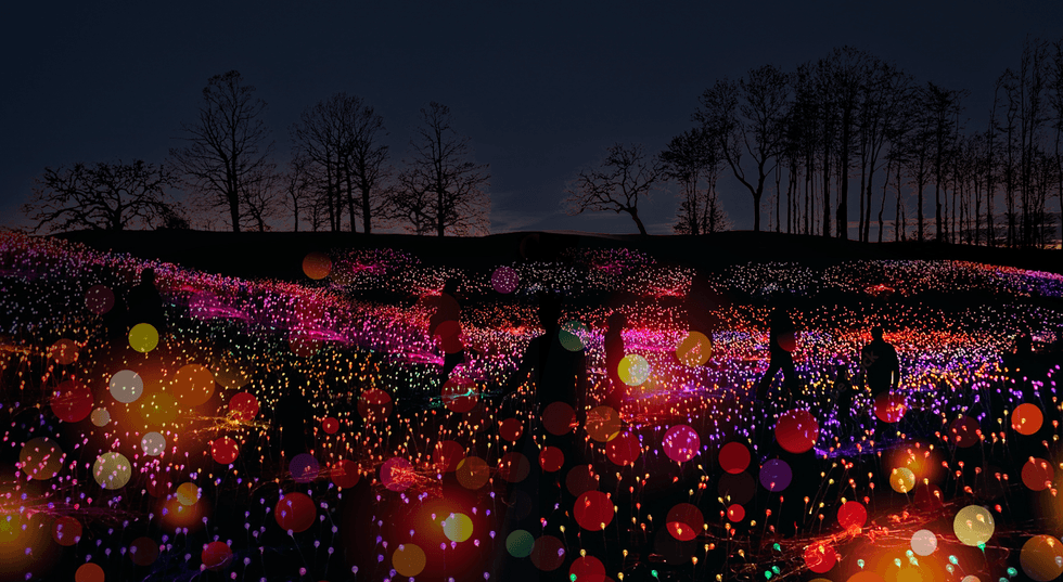 Symphonie des Fleurs \u00e0 Terrebonne.