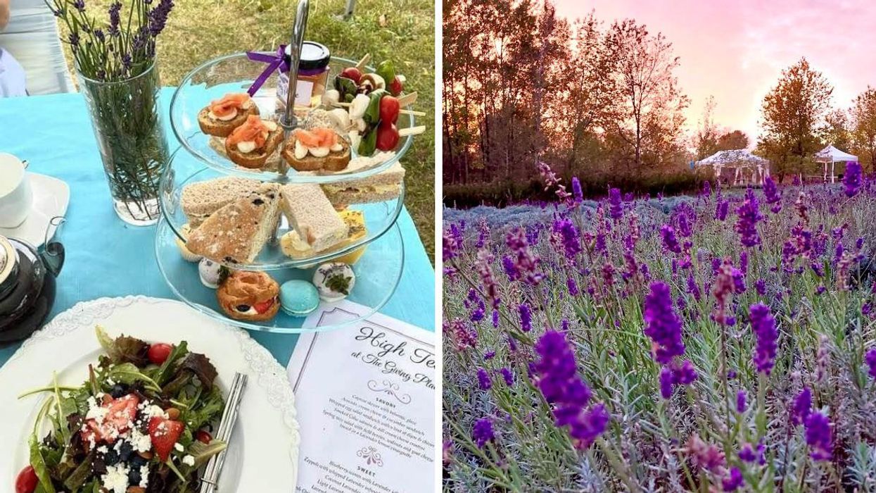 Table with salad and tiered tray. Right: Lavender field at The Giving Place.