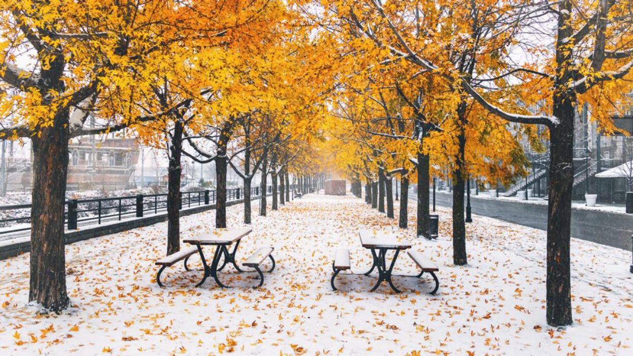 Tables à pique-nique recouvertes de neige sous les arbres aux couleurs d'automne à Montréal.