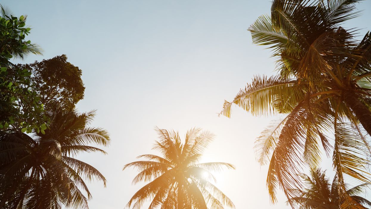 Tampa Bay Area Under Heat Advisory With Temps Feeling Like Triple Digits A Second Day