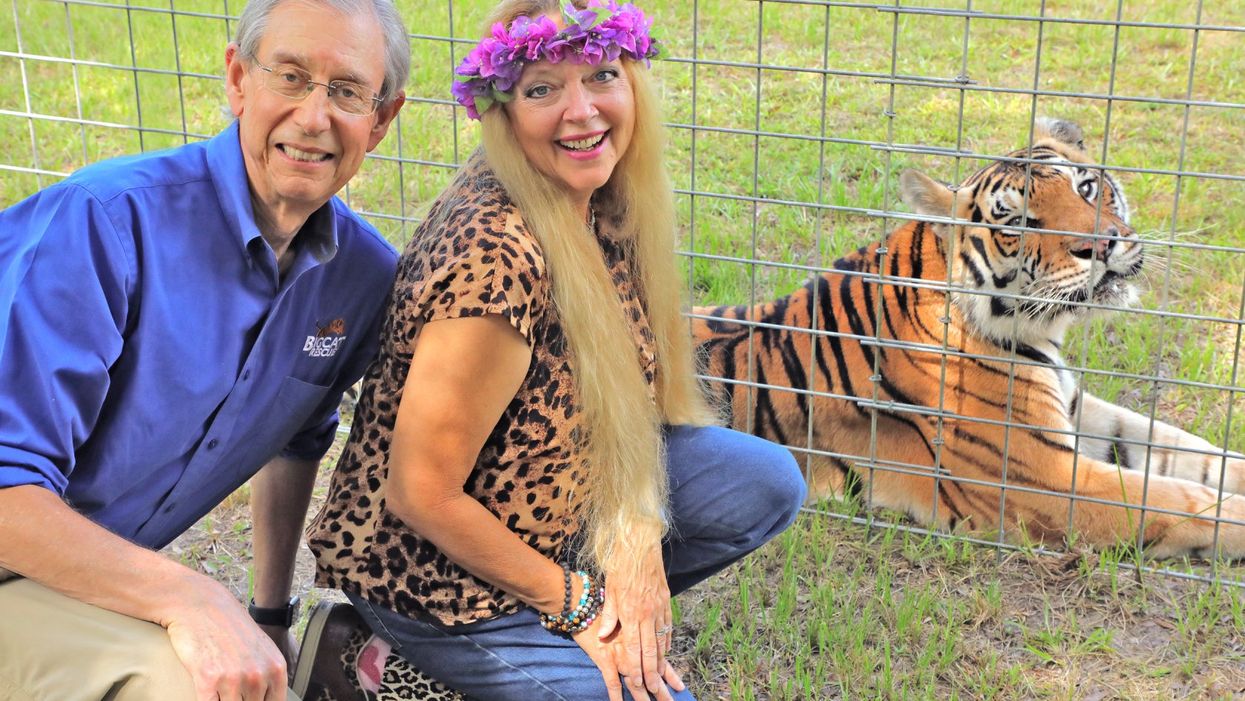 Tampa Big Cat Rescue Carole Baskin To Star On New Season Of Dancing With The Stars
