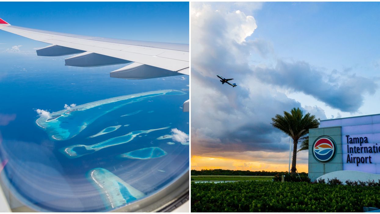 Tampa International Airport Free Flights Twitter Post Reminds You To Wear A Mask