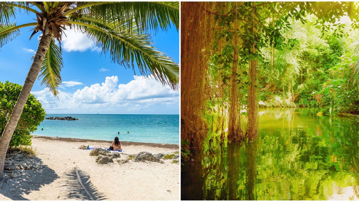 Tampa Weather Forecast Shows Temps Hotter Than The Amazon Rainforest This Week