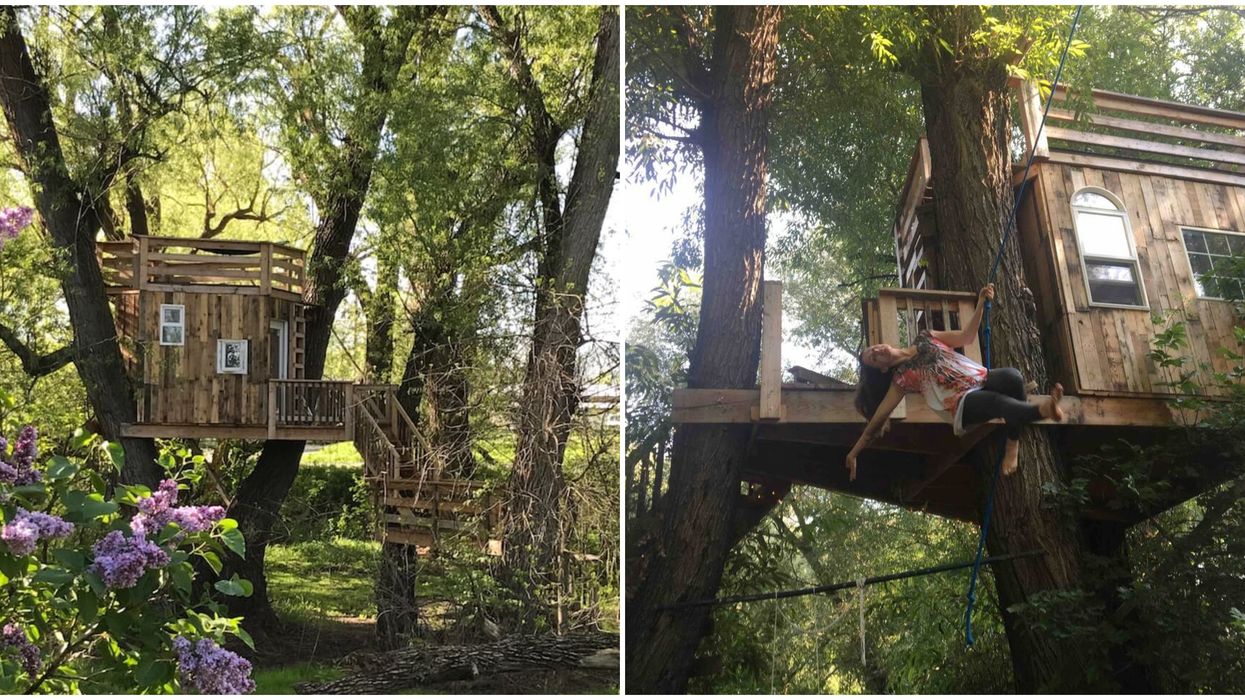 Tarzan Treehouse Airbnb In Utah Has A Rope Swing Perfect For A Fun