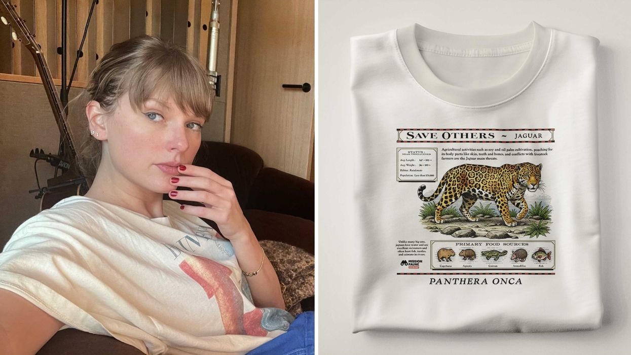Taylor Swift. Droite : un chandail du Zoo de Granby