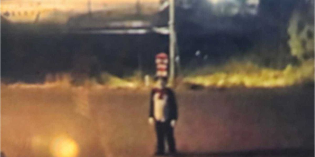 B.C. teen chased by someone wearing Cat in the Hat costume, police investigating B.C. teen chased by someone wearing Cat in the Hat costume, police investigating
