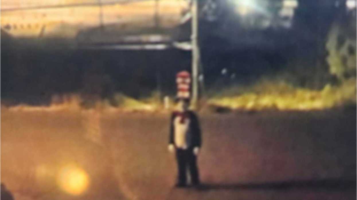 Teen chased by someone in Cat in the Hat costume