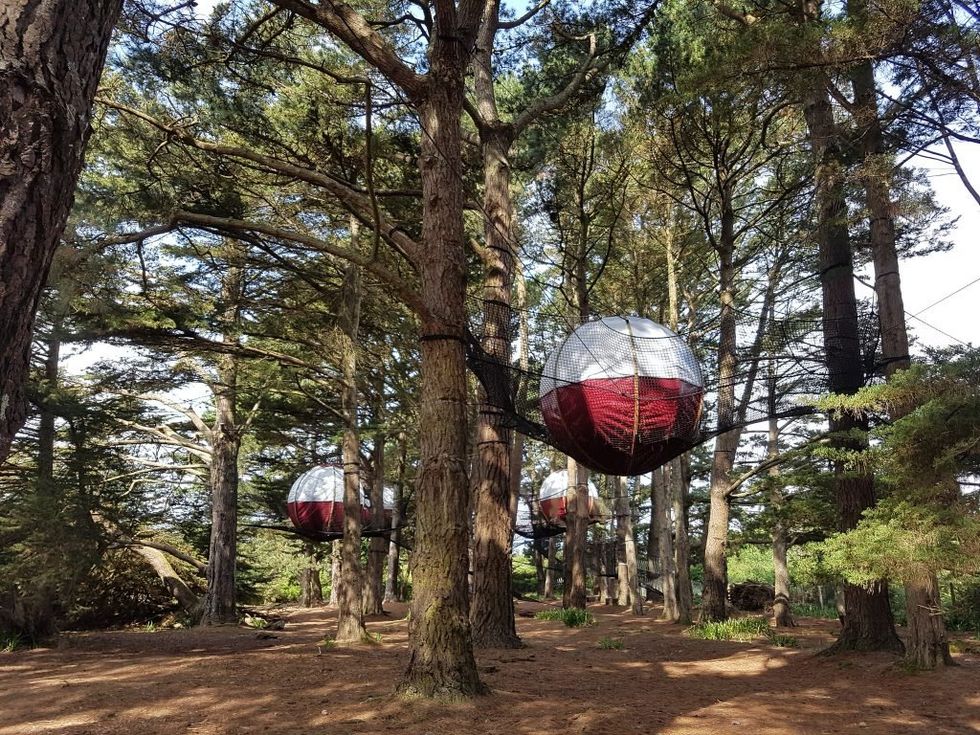 Tents suspended from trees.