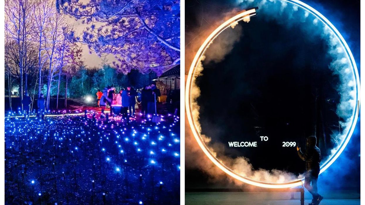 Terra Lumina Is Returning To The Toronto Zoo & Tickets Are Now On Sale