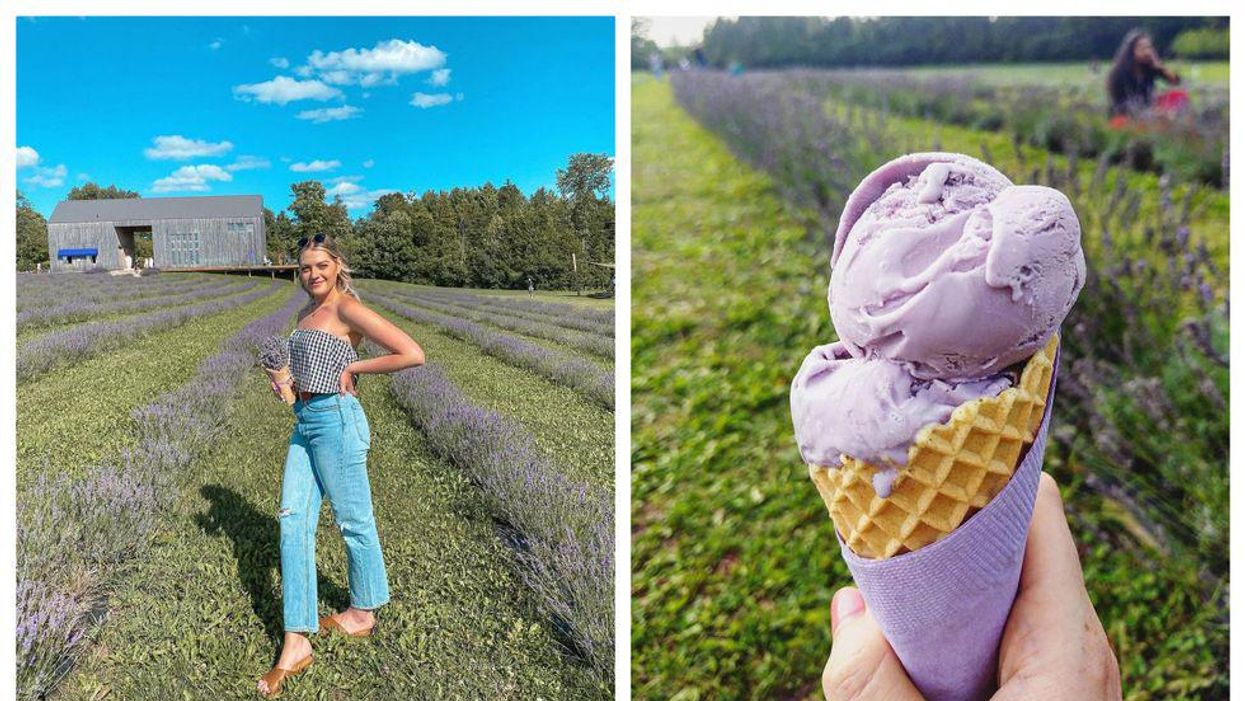 Terre Bleu Lavender Farm Reopens This Week & It’s Dreamier Than Ever