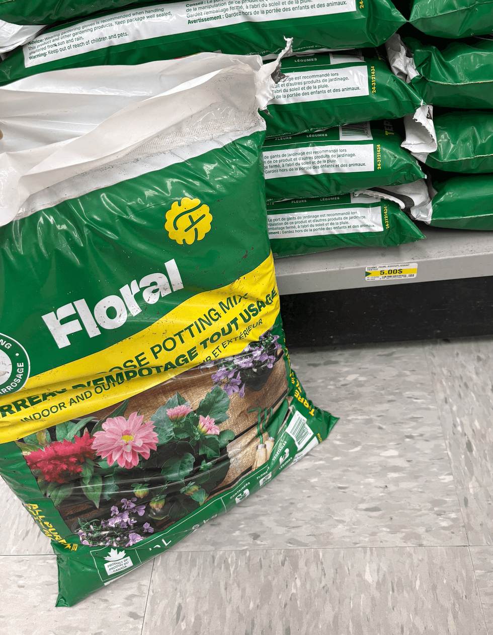 Terreau d'empotage sur le sol du Dollarama.
