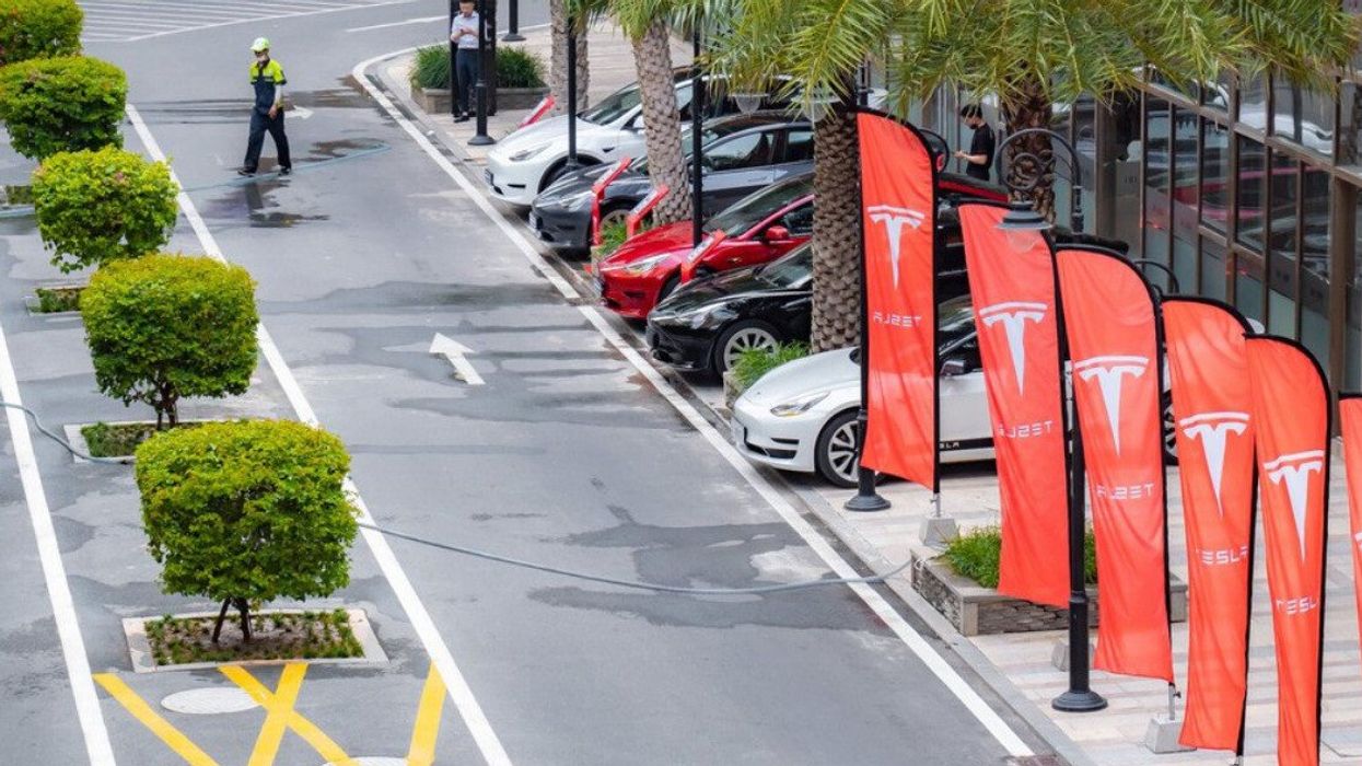 Tesla vehicles parked beside a road.