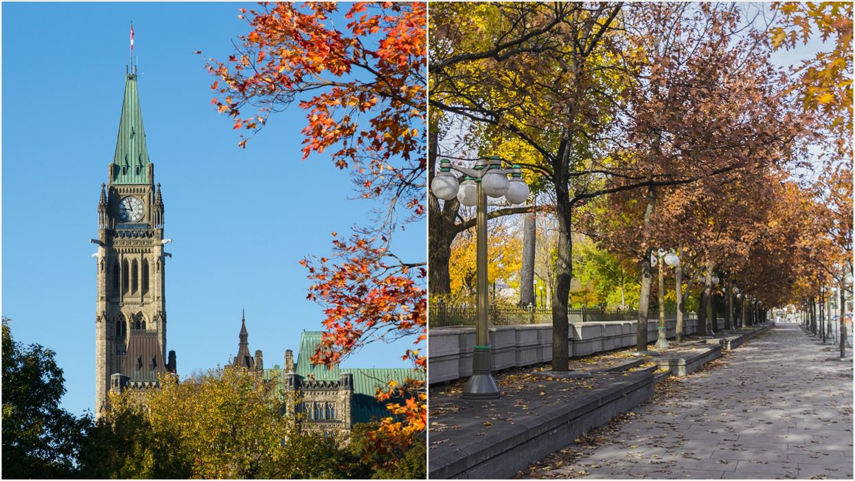 Thanksgiving In Ottawa Should Only Be Your Household Says The City's Top Doc