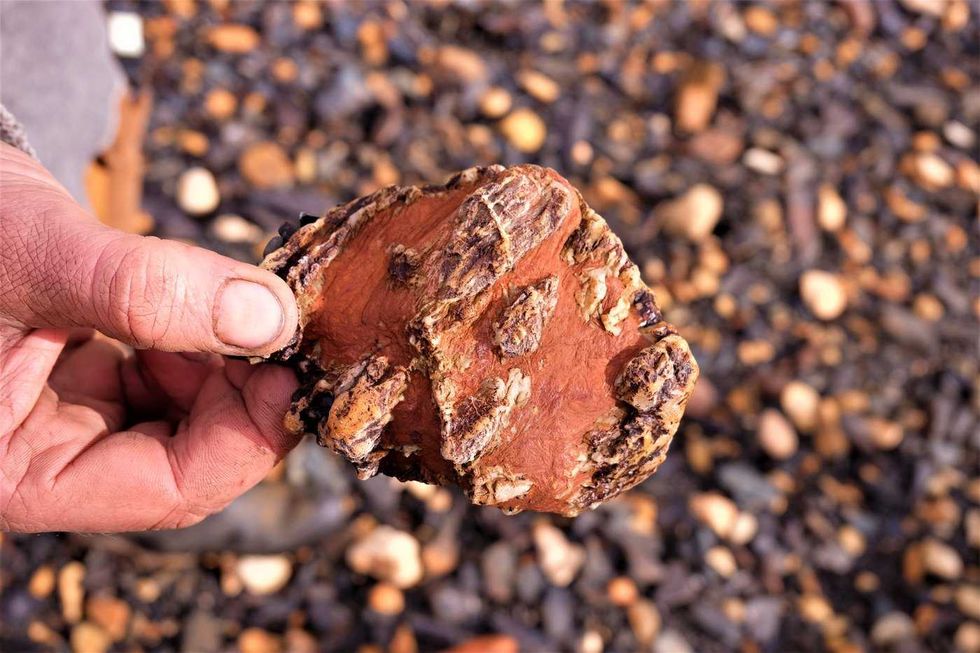 Thawing permafrost turns streams orange and toxic