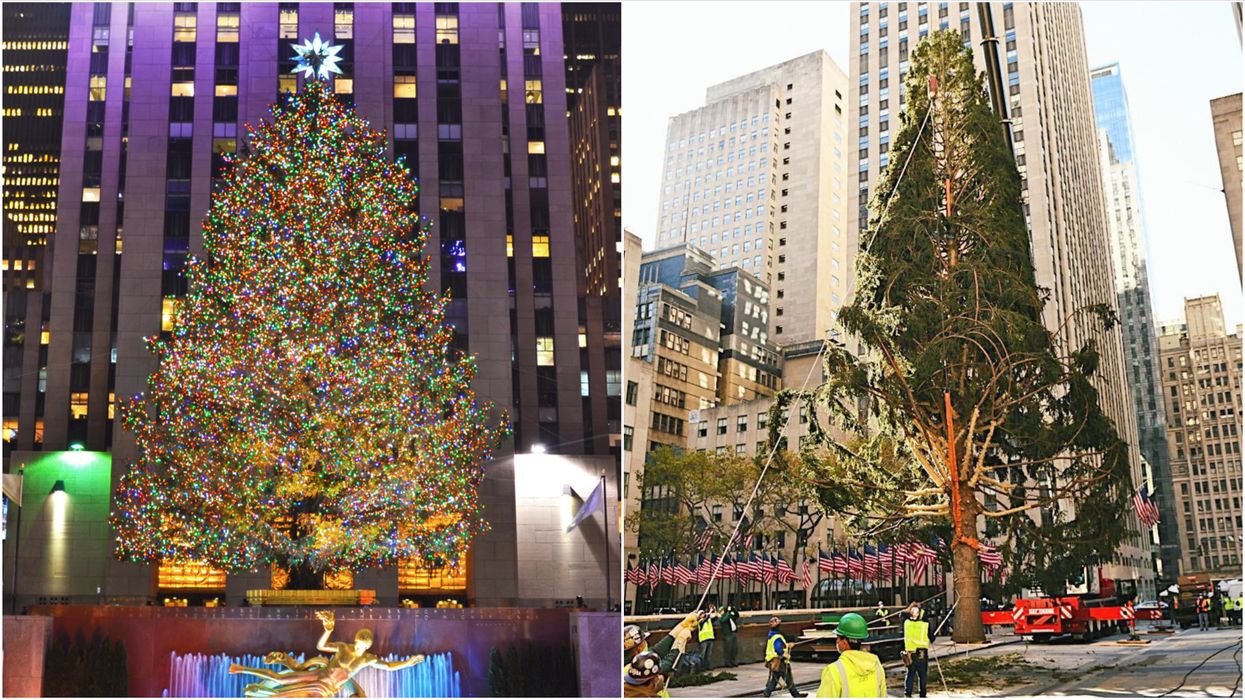 The 2020 Rockefeller Christmas Tree Has Arrived In NYC & It's Painfully On Brand (PHOTOS)