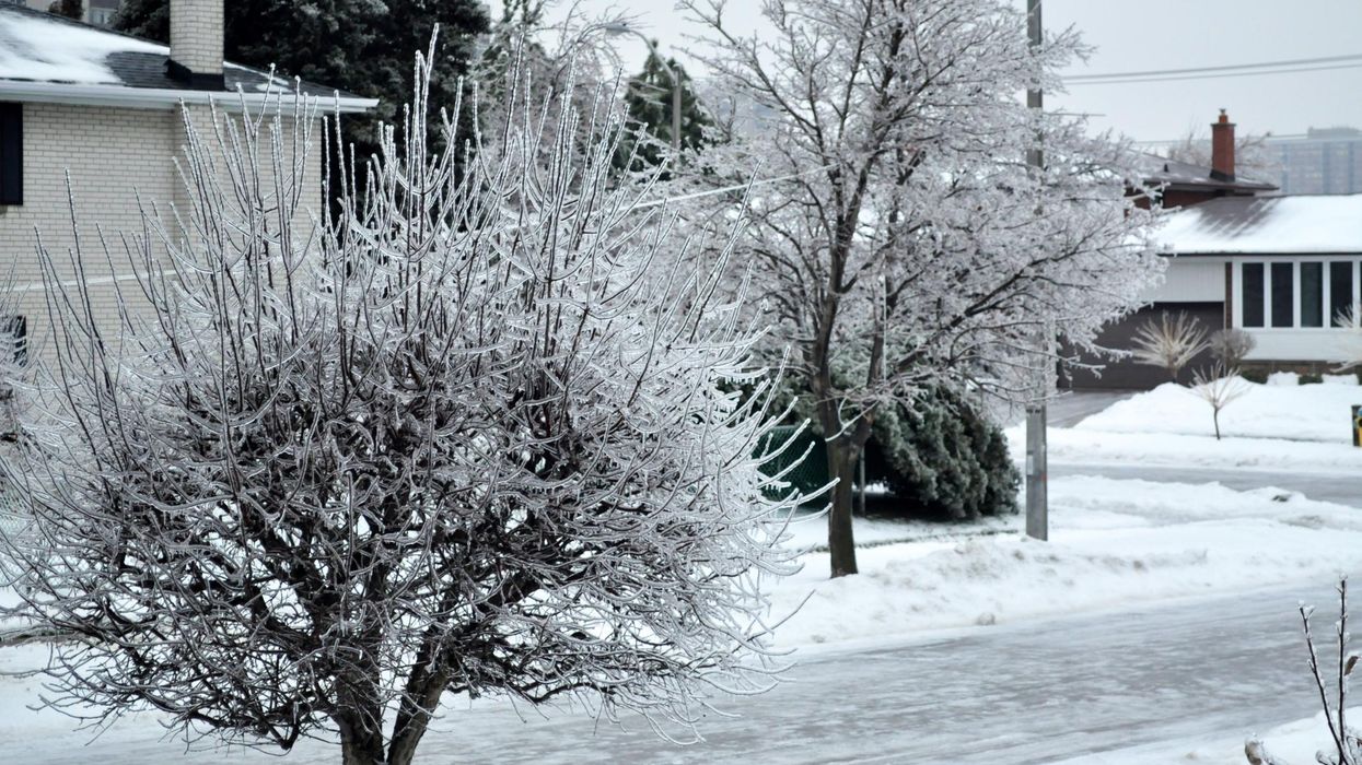 The aftermath of an ice storm in Toronto.