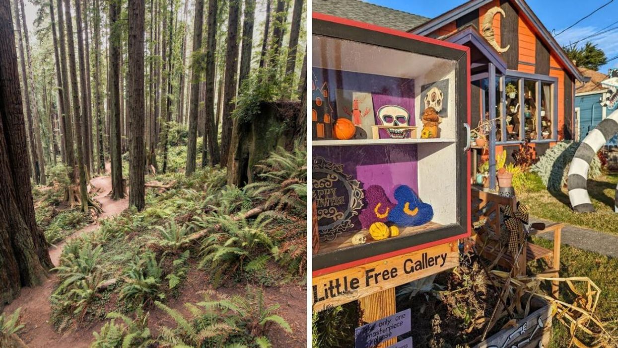 The Arcata Community Forest in Arcata, CA. Right: A cottage located in Arcata, CA.