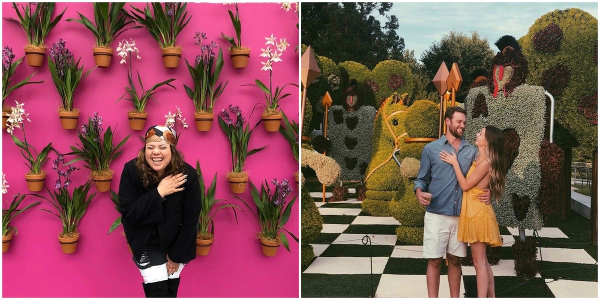 The Atlanta Botanical Gardens Is Free This Week For A Limited Time The Atlanta Botanical Gardens Is Free This Week For A Limited Time