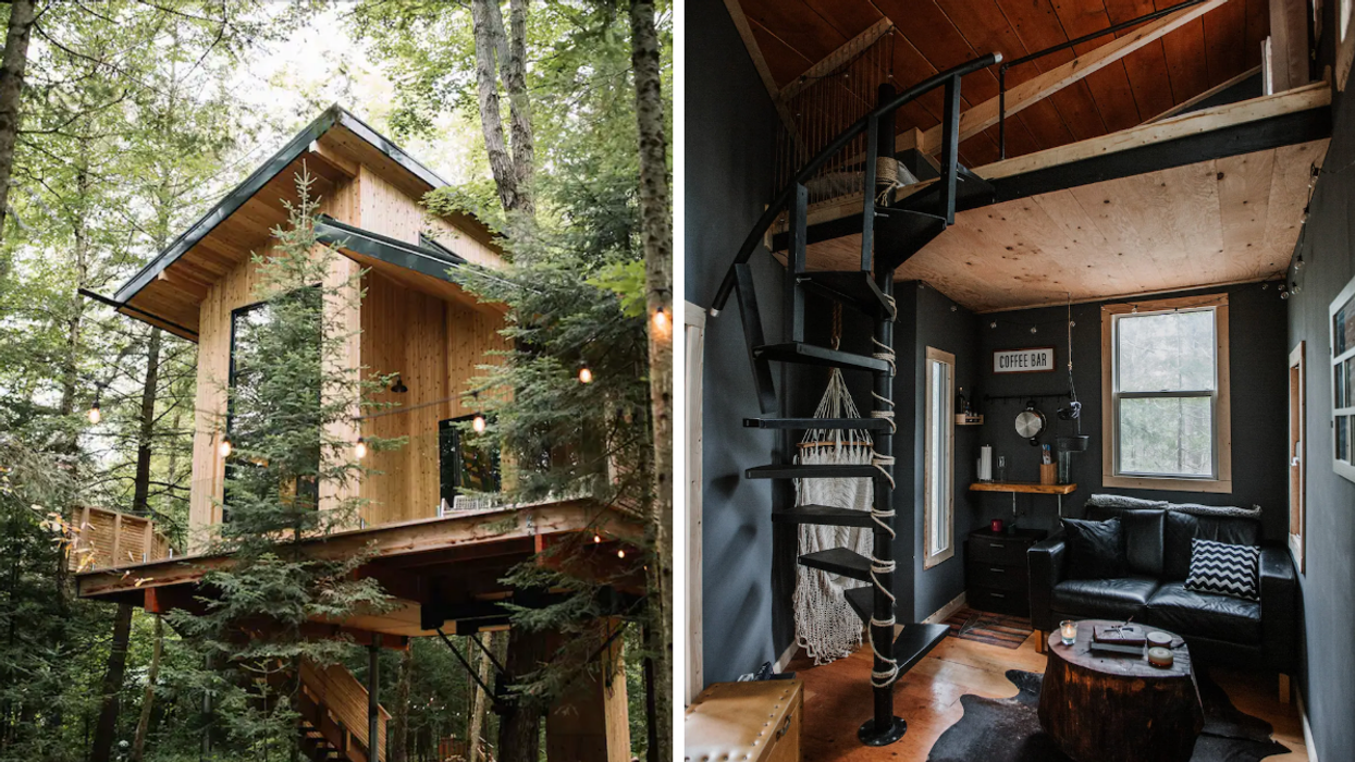 The Baltic Luxury Treehouse. Right: The Tamarack treehouse.