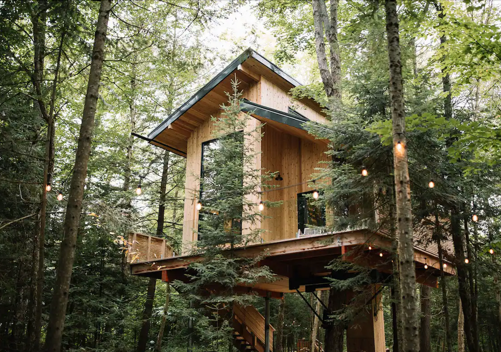 The Baltic Luxury Treehouse.