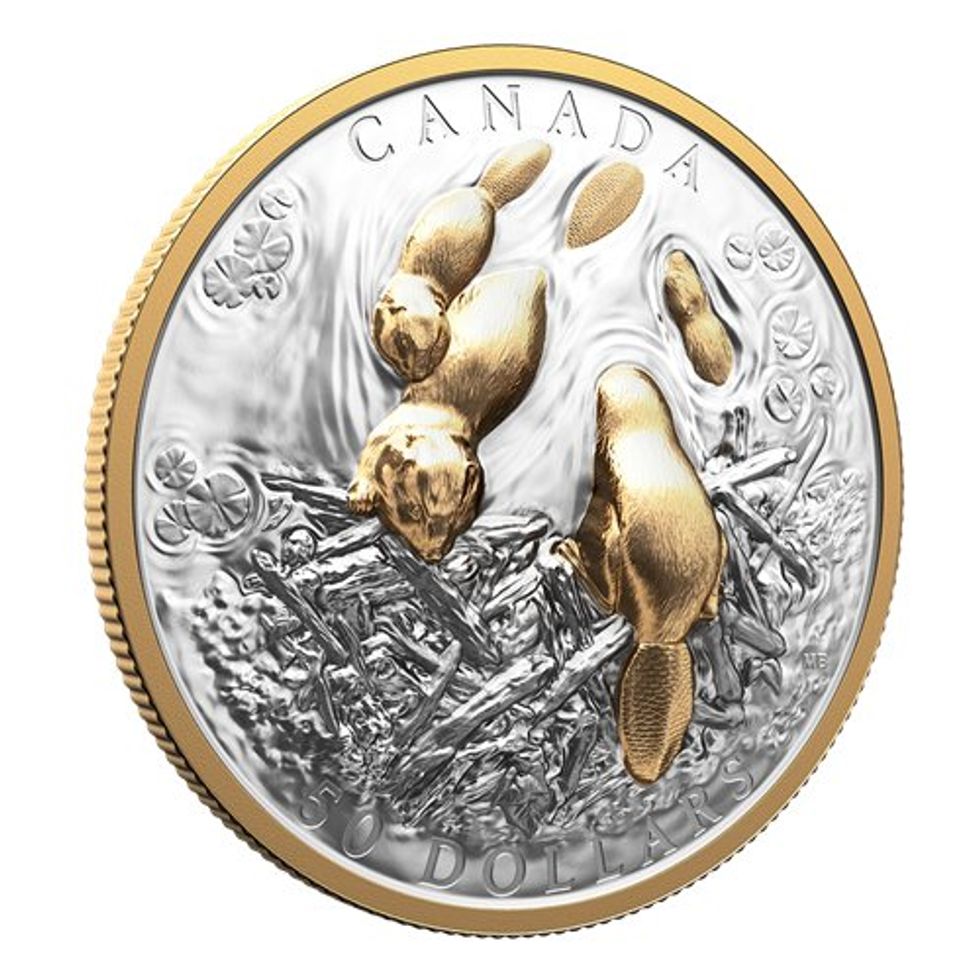 the beaver fine silver coin