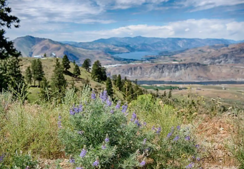 The breathtaking view from the Underground Hygge property.