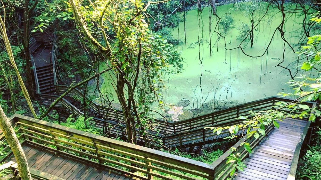 The bridge leading down to the lake in Devil's Millhopper State Park.