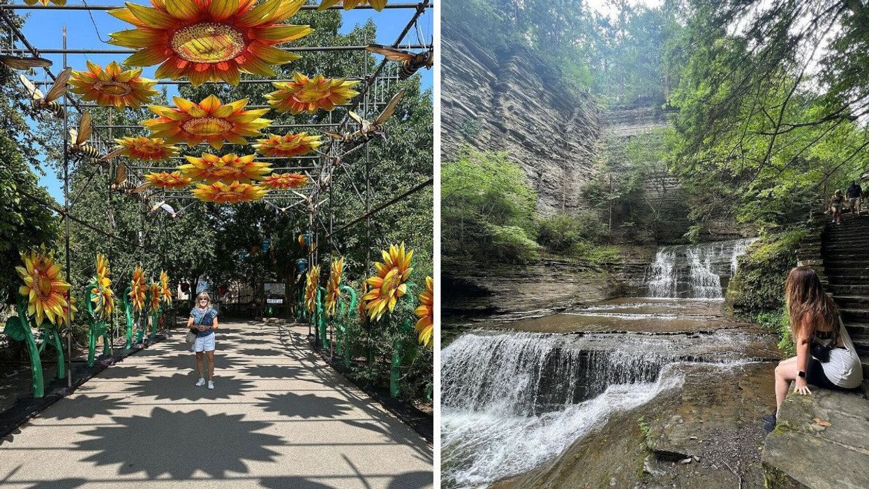 The Buffalo Zoo. Right: Buttermilk Falls State Park.