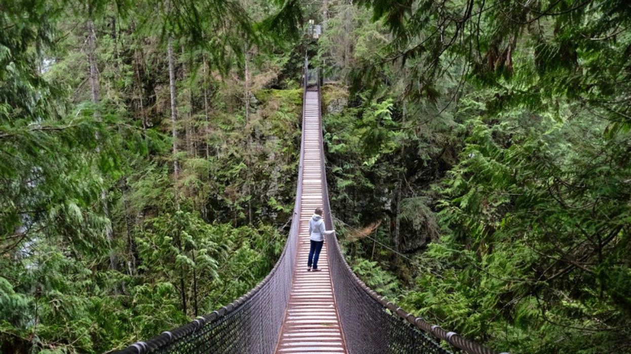 The Capilano Suspension Bridge in Vancouver.