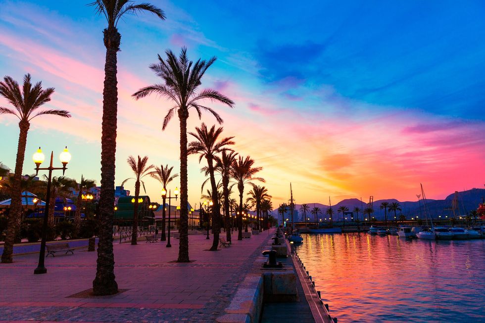 The Cartagena Marina waterfront palm trees, Murcia, Spain.
