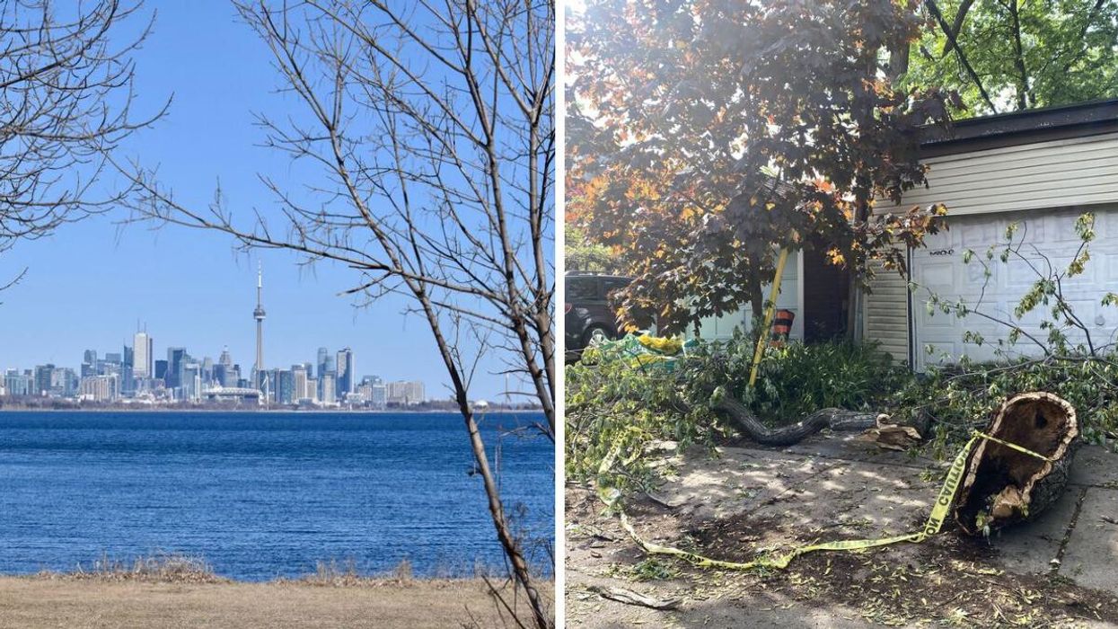 The CN tower in Toronto. A downed tree in Ontario