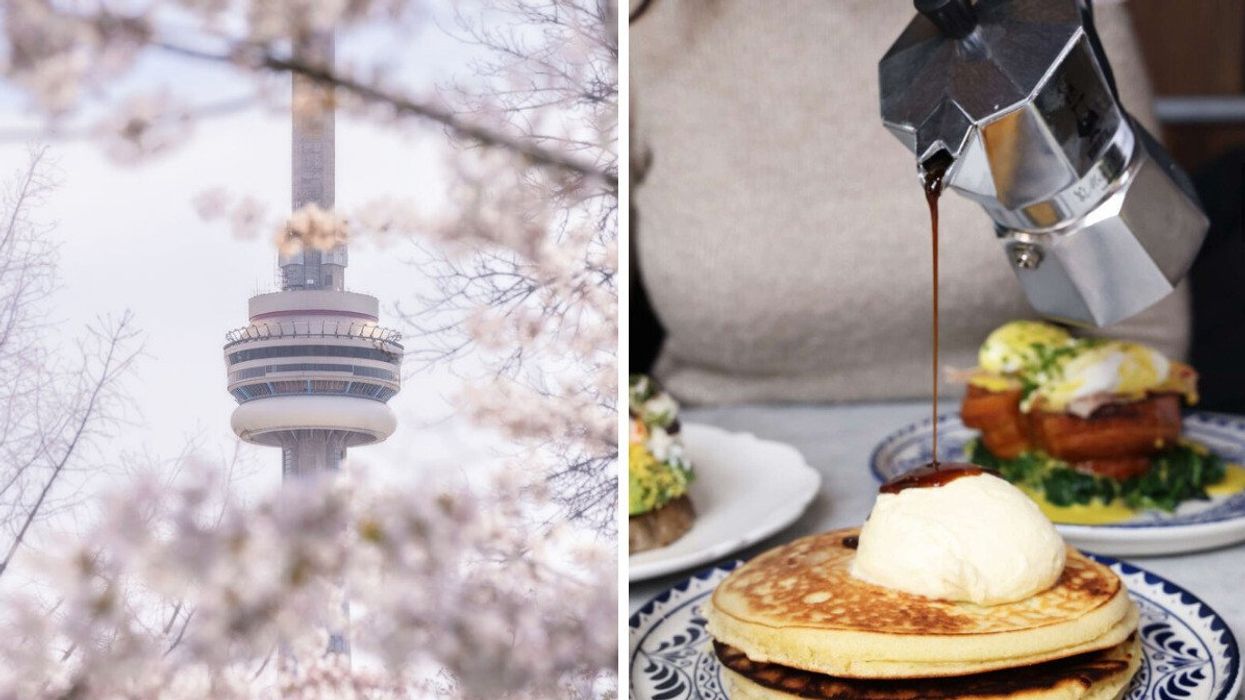 The CN Tower surrounded by cherry blossoms. Right: A pancake with syrup.