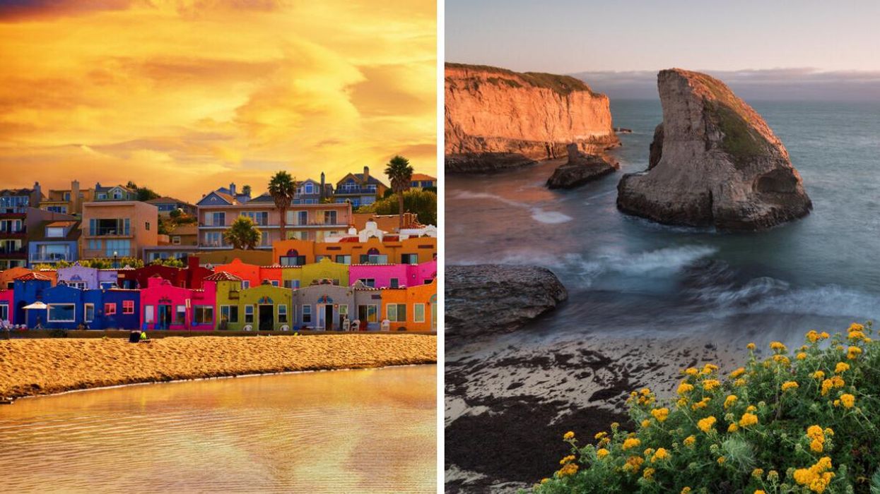 The coastline at Capitola, CA. Right: Flowers and rocks on the beach in Davenport, CA. 