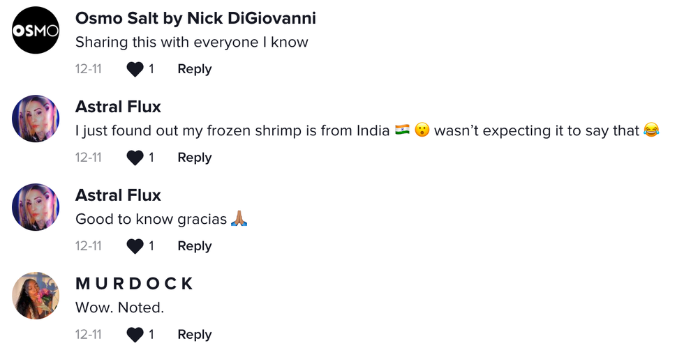 The comment section on Christina's TikTok clip.