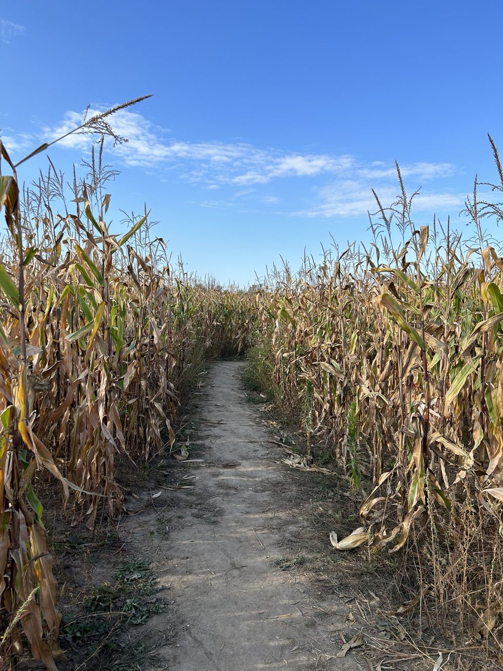 This Cute Pumpkin Farm Near Toronto Lets You Enjoy Endless Fall