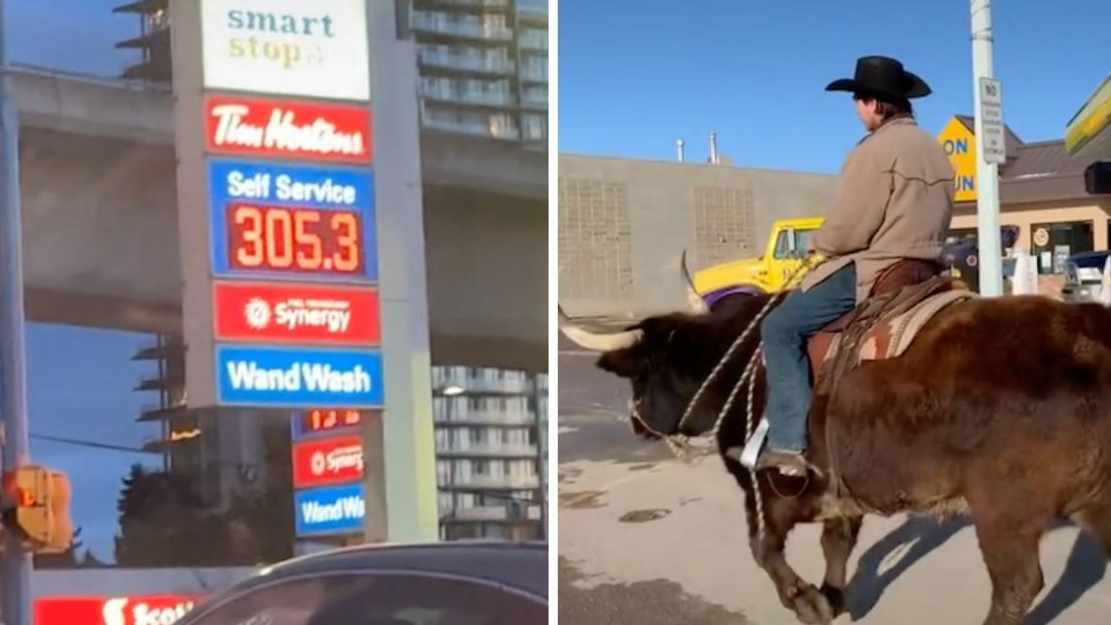 The cost of gas at 305.3. Right: A man riding a bison.