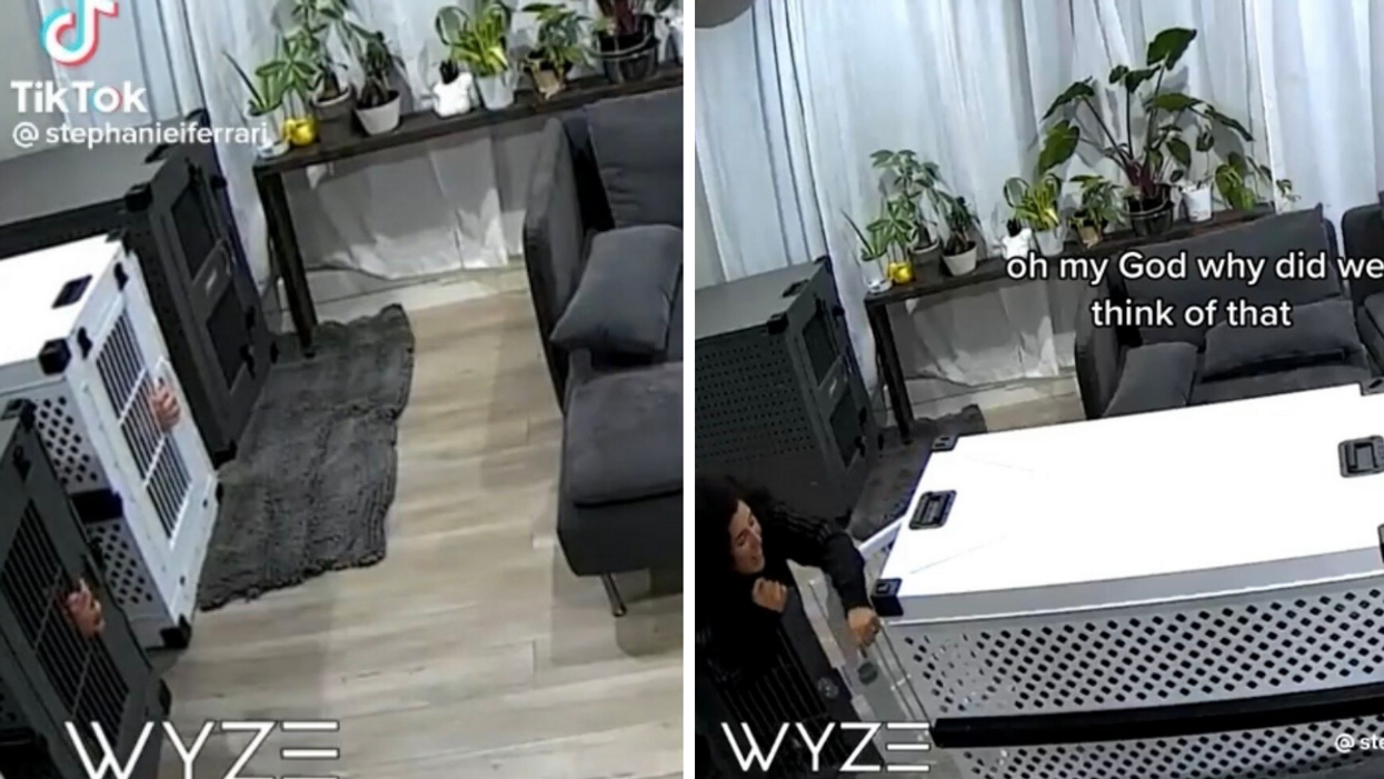 The couple sticking their hands through the cage doors. Right: The woman opening the kennel door after escaping.