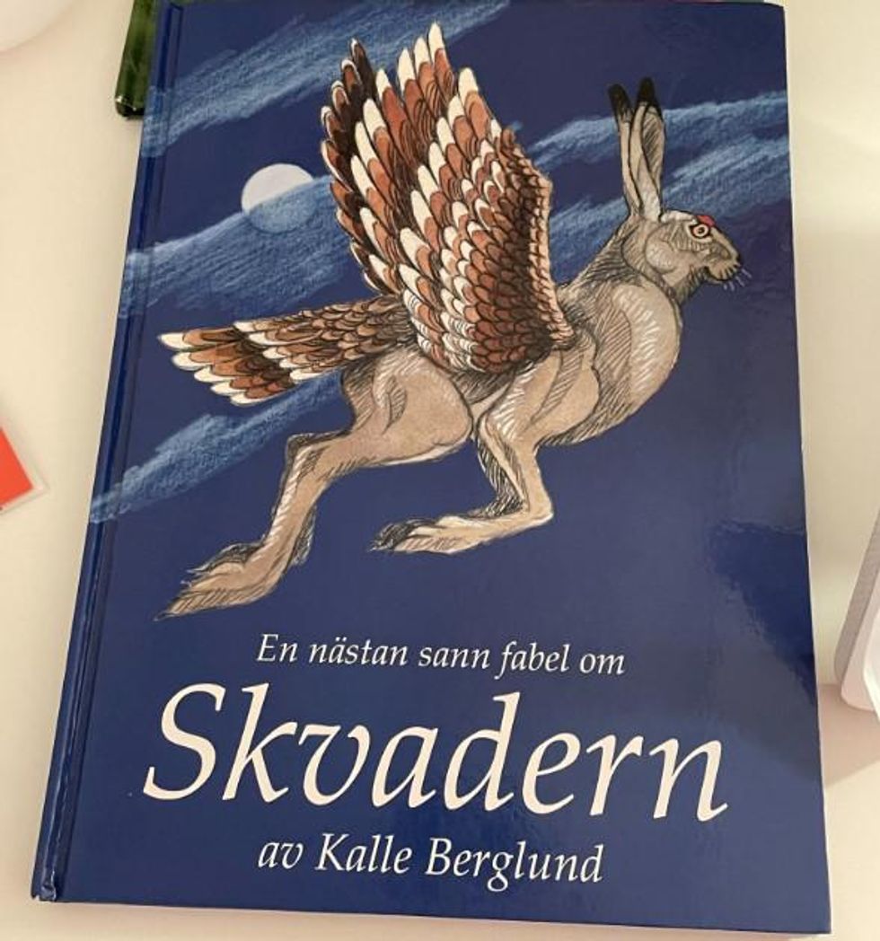 The cover of a children's book called Skvadern.
