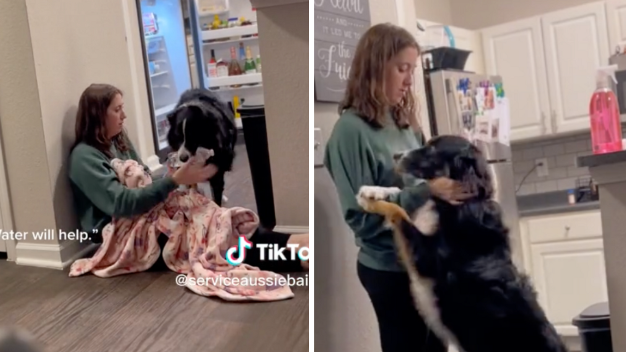 The dog giving her owner water. Right: The dog jumping on her owner.