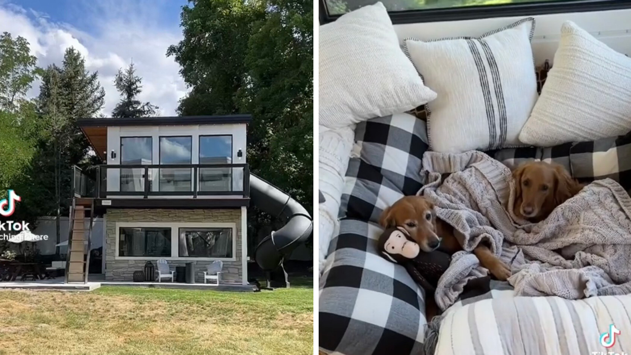 The dog house exterior. Right: A picture of the dogs in their bed.