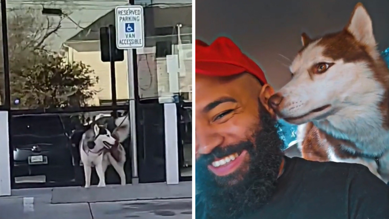 The dog tied to a pole. Right: Jason Hutchison with the dog.